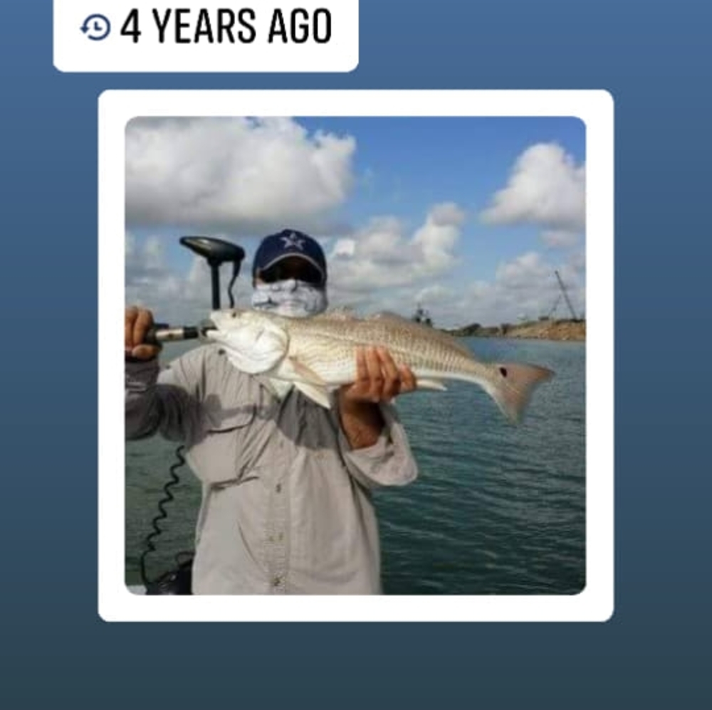 Meet your Posher, Edward